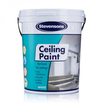 Ceiling Paint